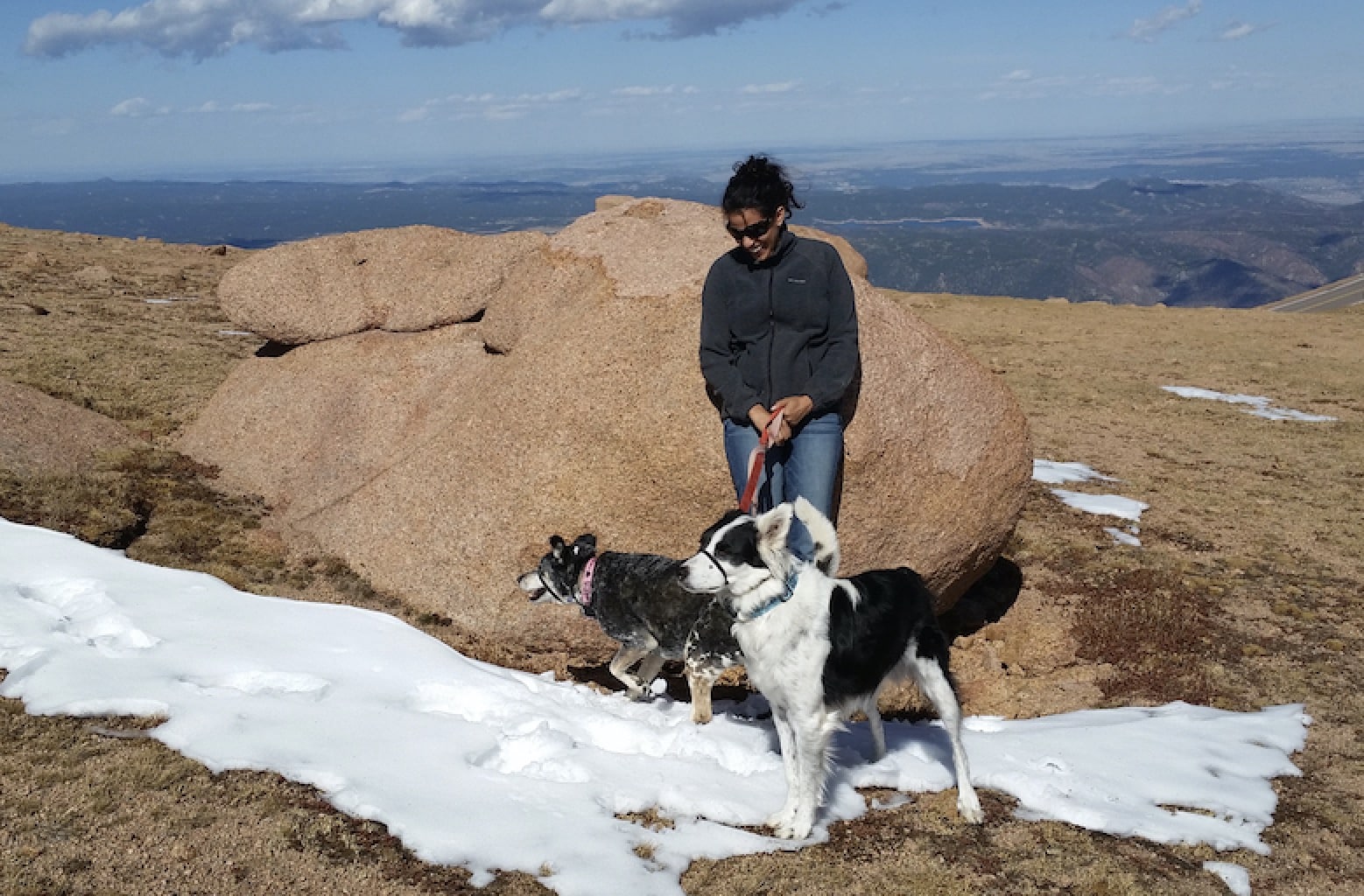 are dogs allowed in pikes peak co