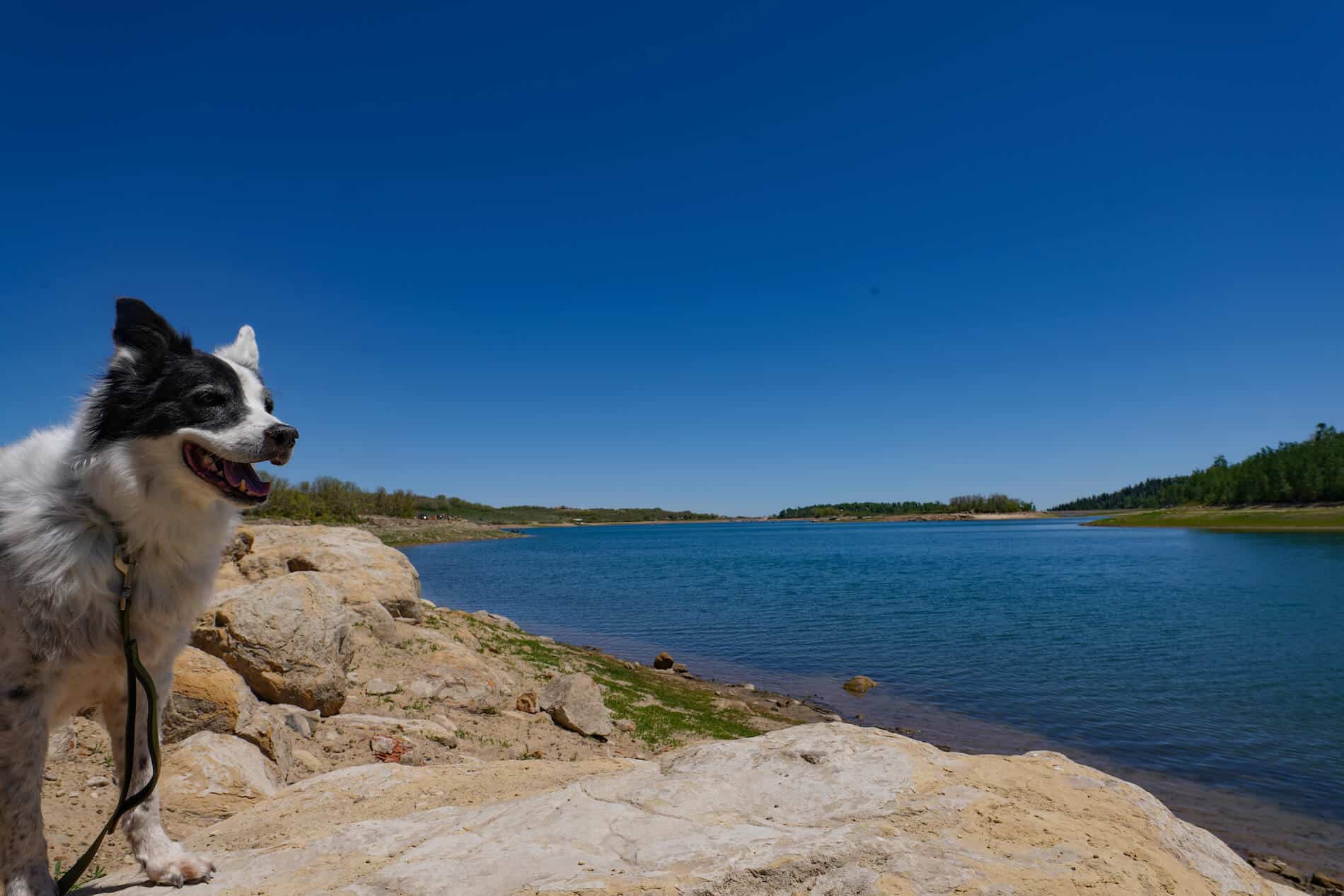 Expensive “Dispersed” Camping at Kolob Reservoir in Utah