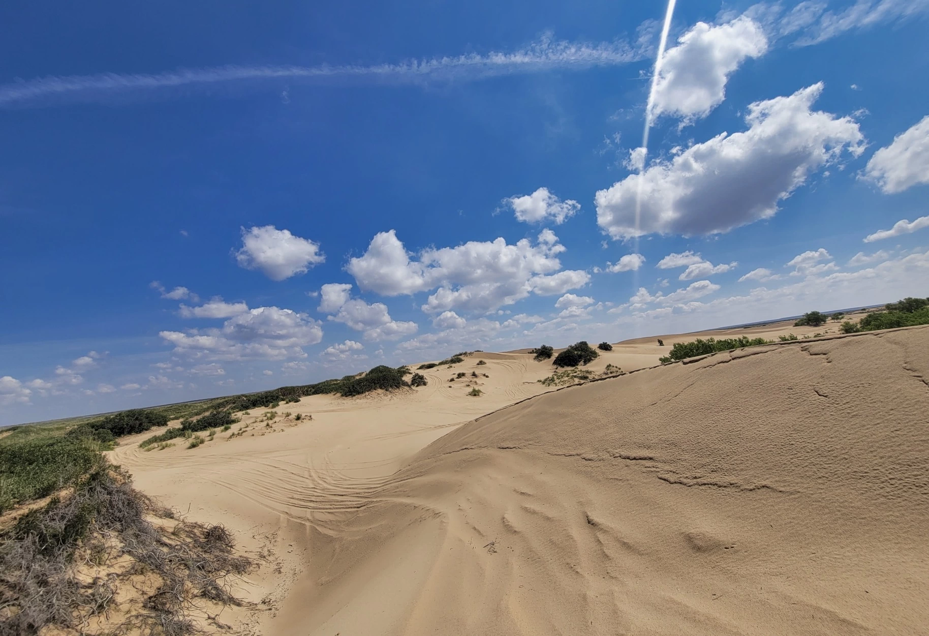 Things to Do at Mescalero Sands North Dune OHV Area